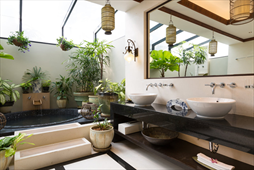Những Lưu Ý Phong Thủy Khi Thiết Kế Nội Thất Phòng Tắm